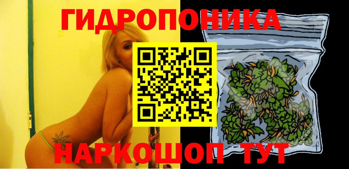 Бошки Шишки MAZAR Ухта